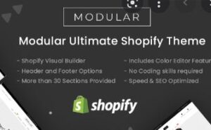 modular Shopify Themes for Fashion Store